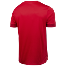 Футболка игровая DIVISION PerFormDRY Union Jersey, красный/ темно-красный/белый, детская